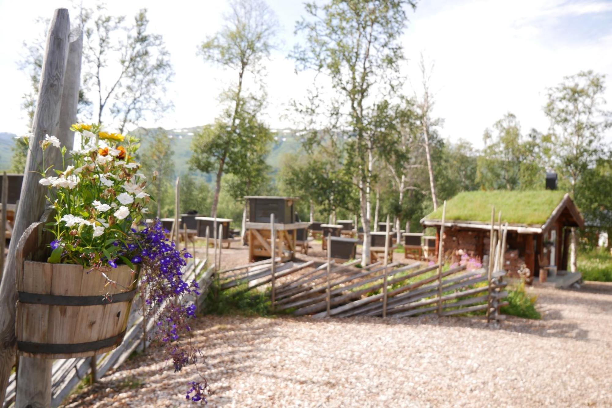 Bardu Huskylodge Kültér fotó