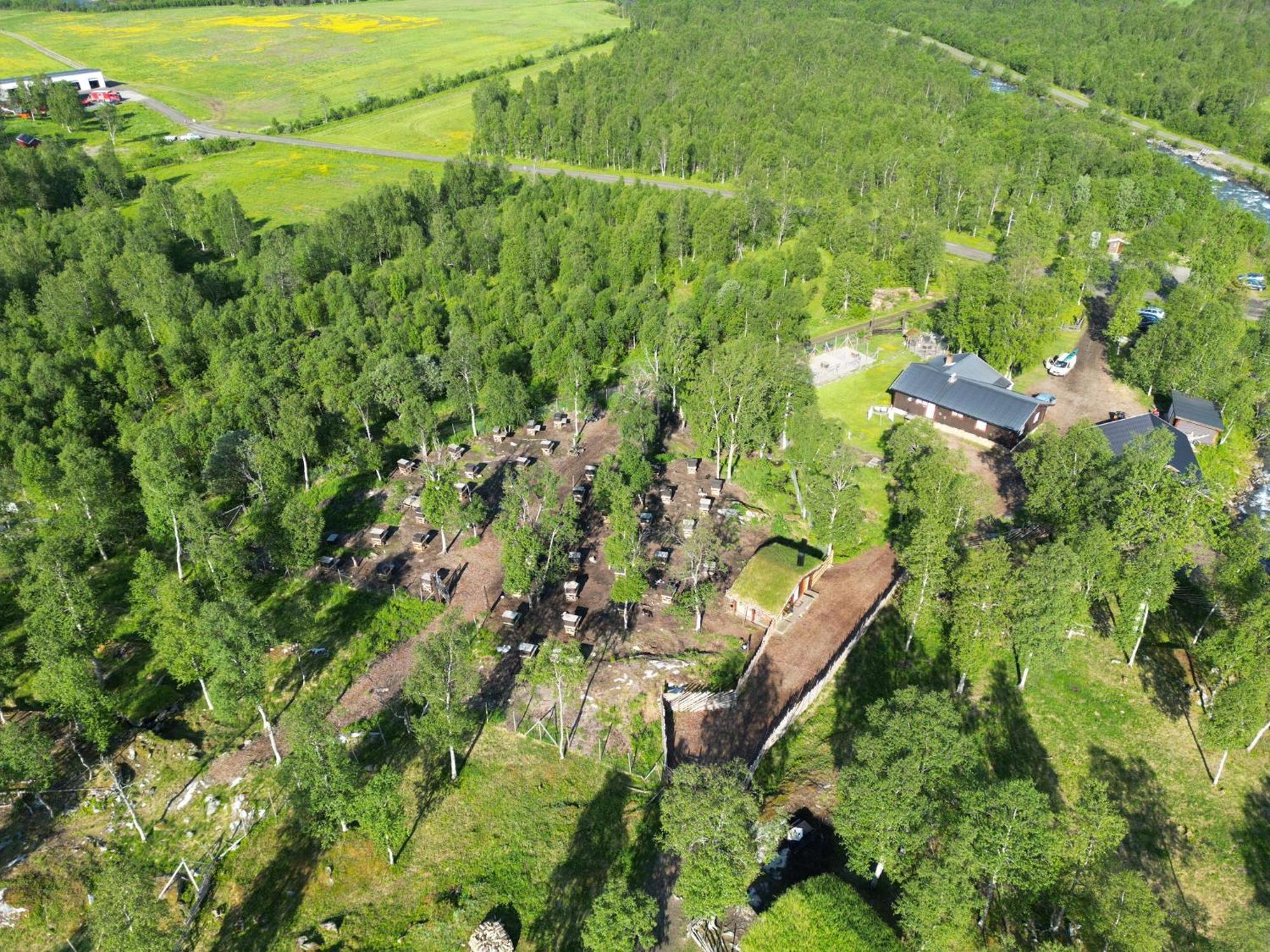 Bardu Huskylodge Kültér fotó
