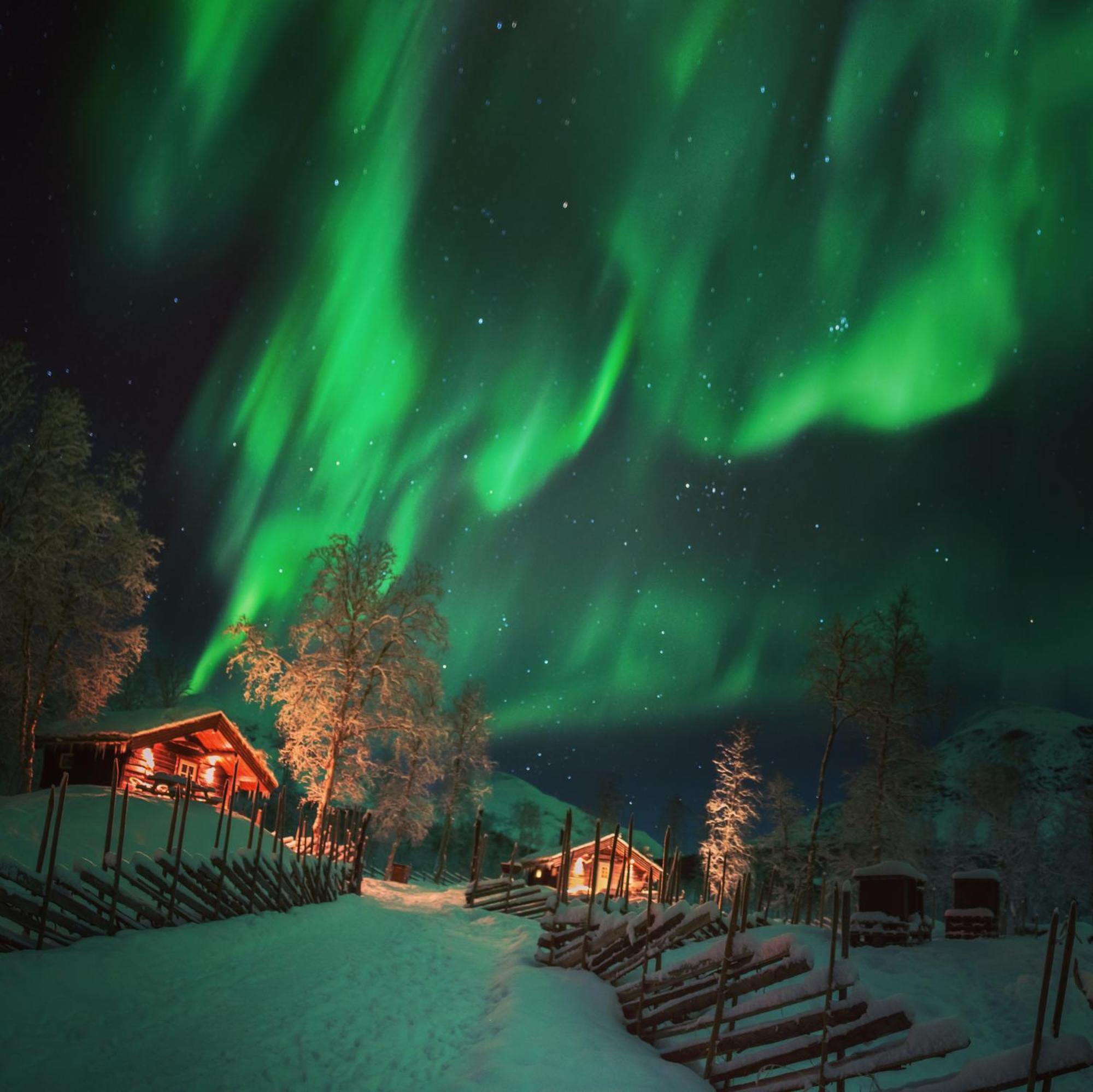 Bardu Huskylodge Kültér fotó