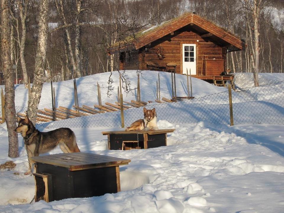 Bardu Huskylodge Kültér fotó