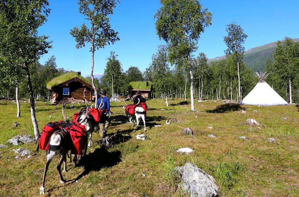 Bardu Huskylodge Kültér fotó