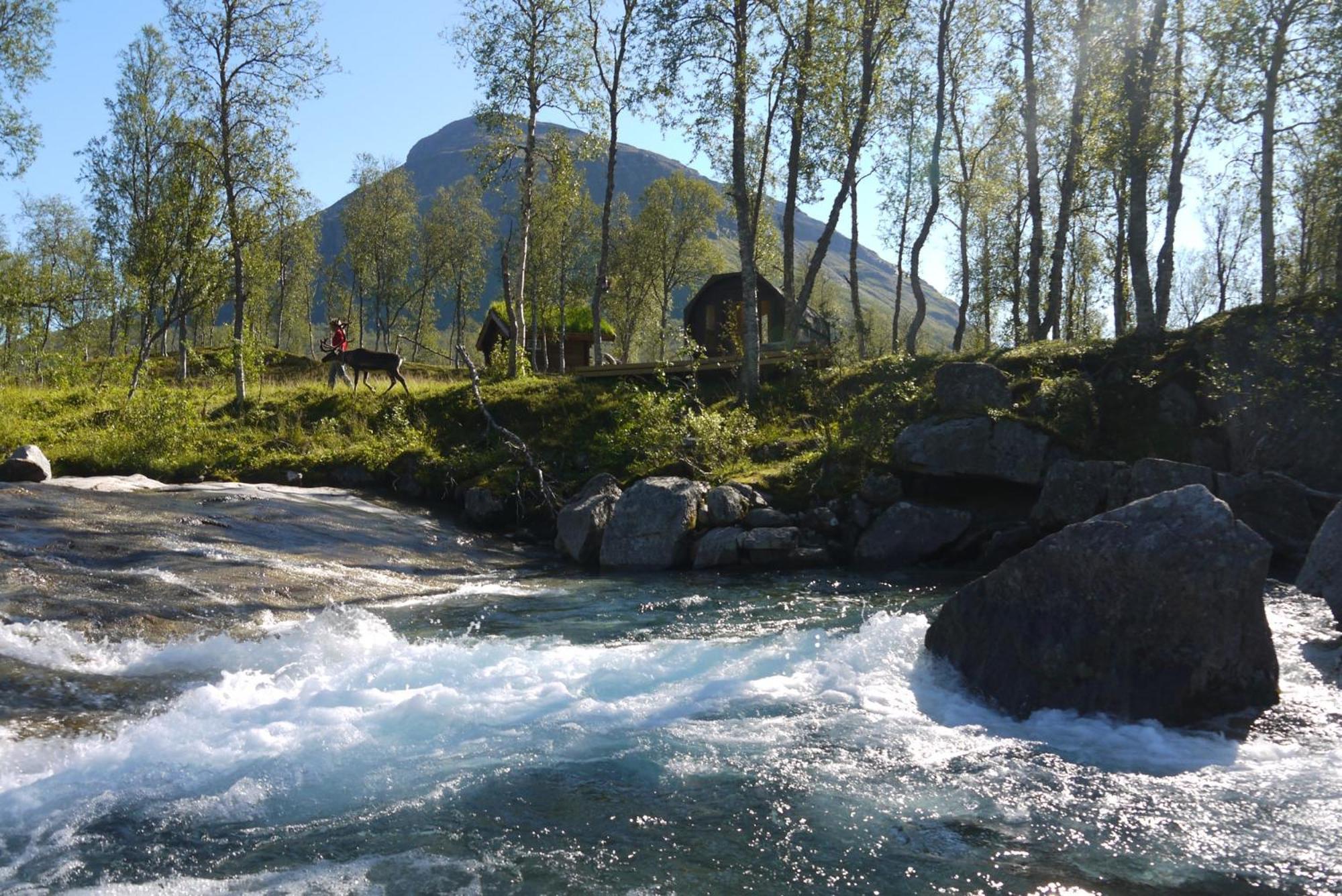Bardu Huskylodge Kültér fotó