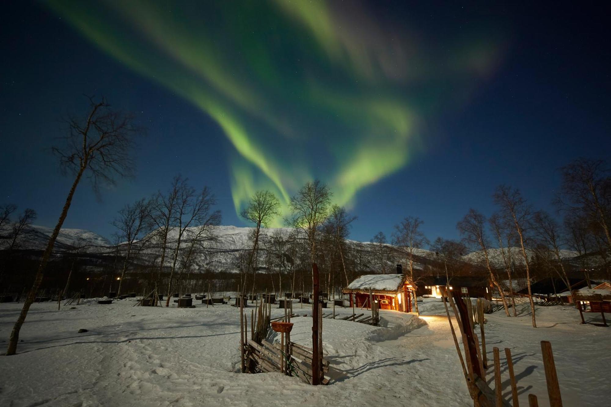 Bardu Huskylodge Kültér fotó