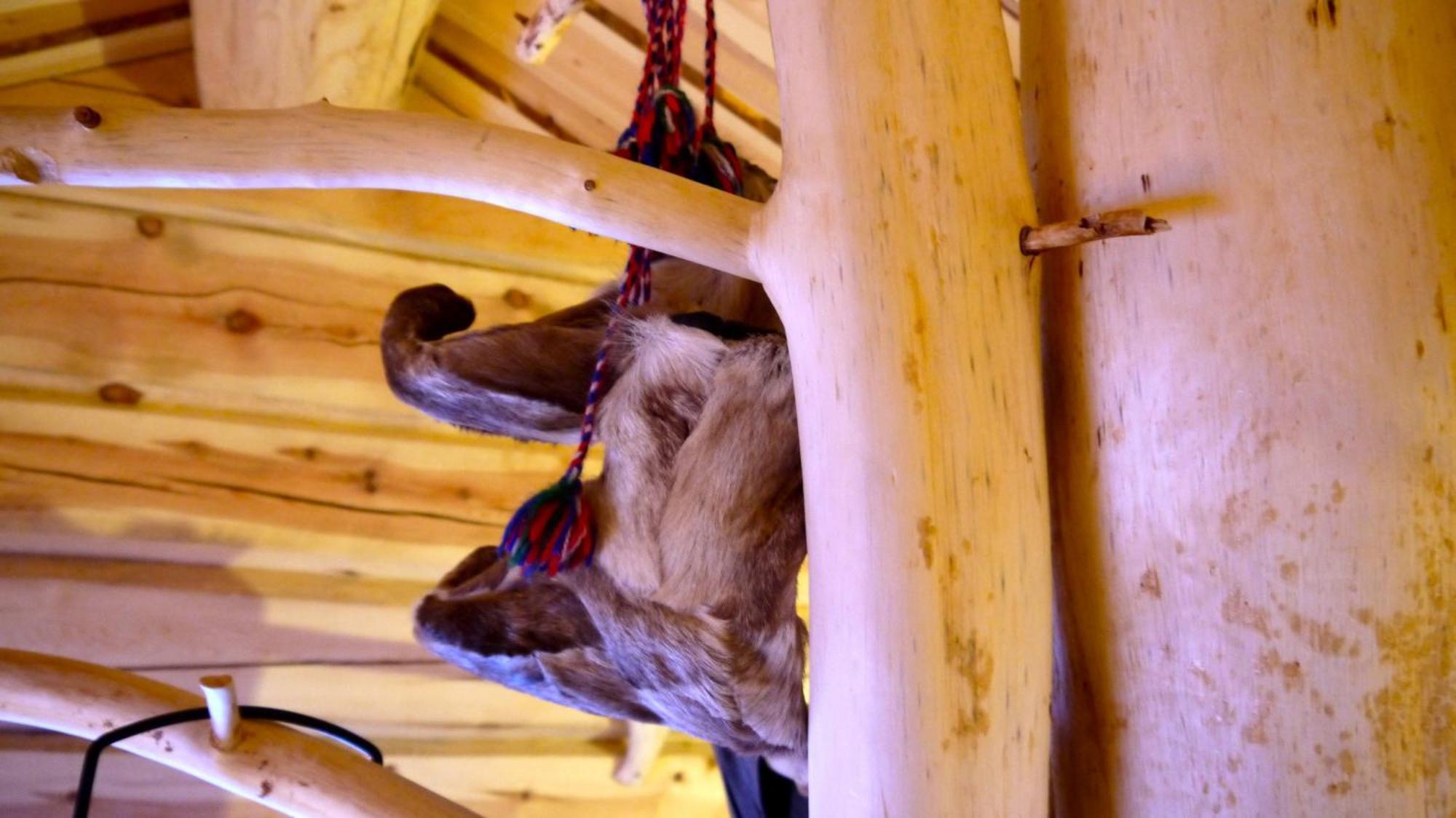 Bardu Huskylodge Kültér fotó