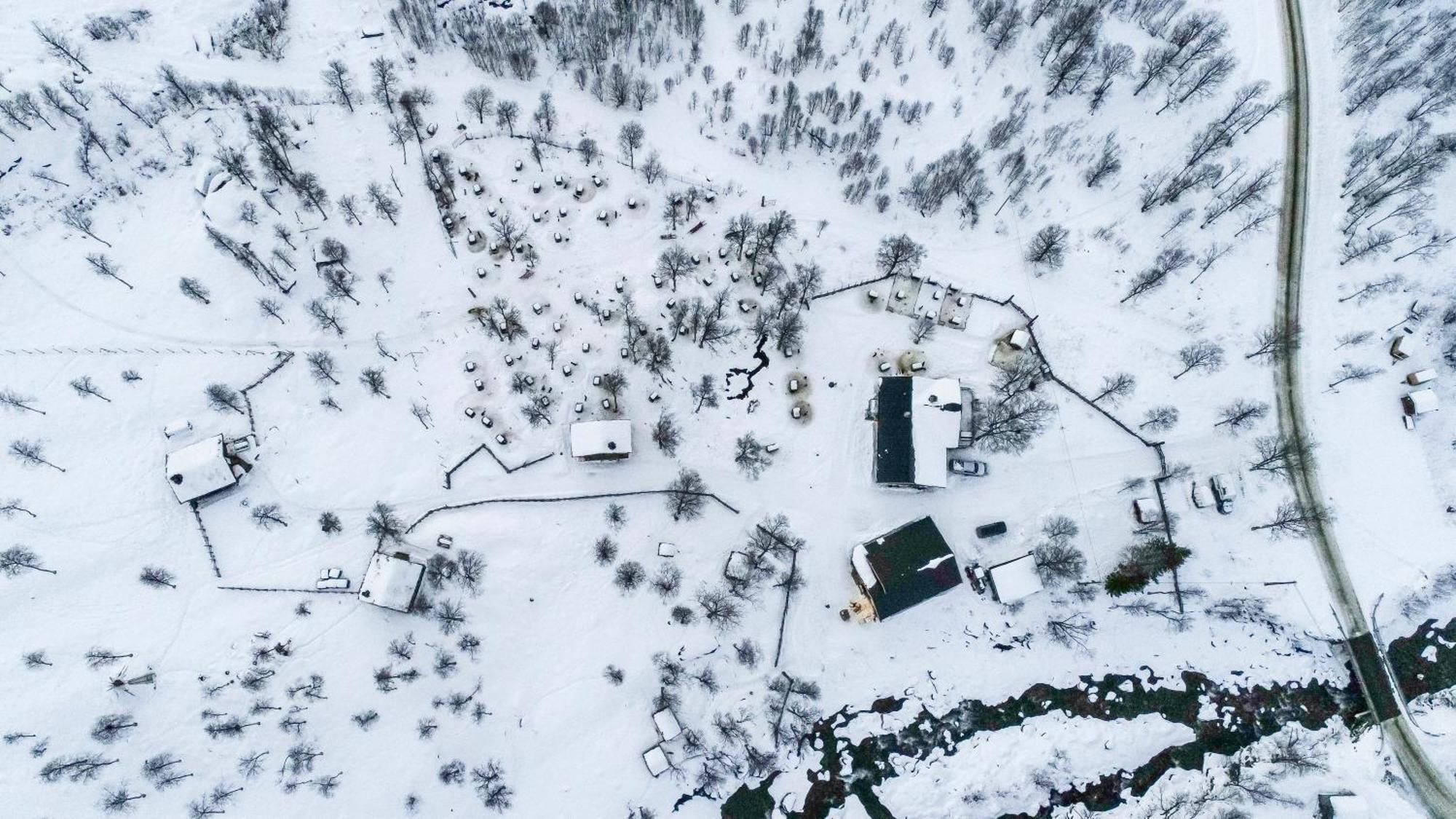 Bardu Huskylodge Kültér fotó